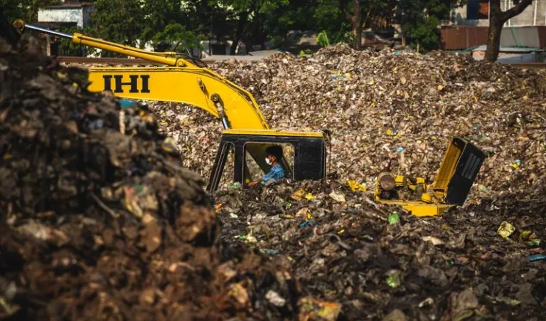 Debris Removal in Reno, NV
